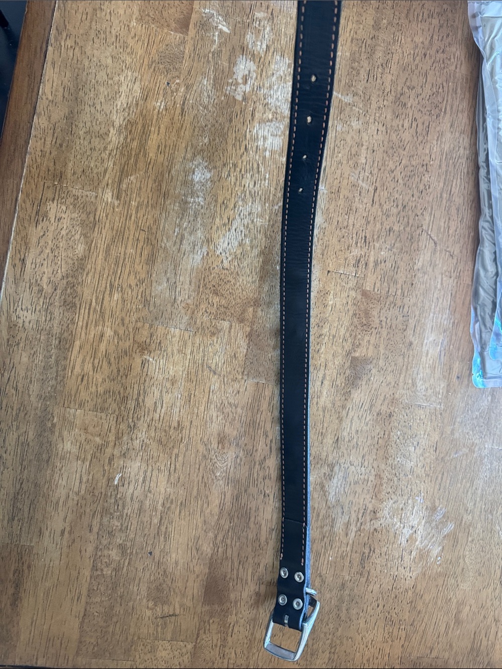 Harley Davidson Black Leather Studded dog collar  with Silver Accents - Picture 2 of 3